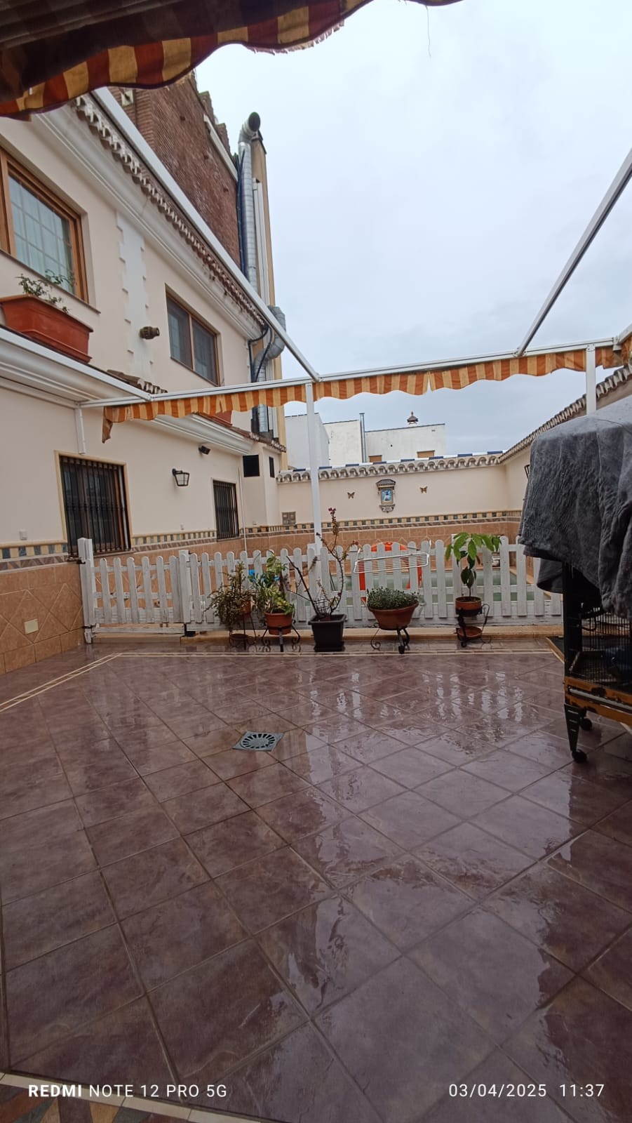 Pizarra