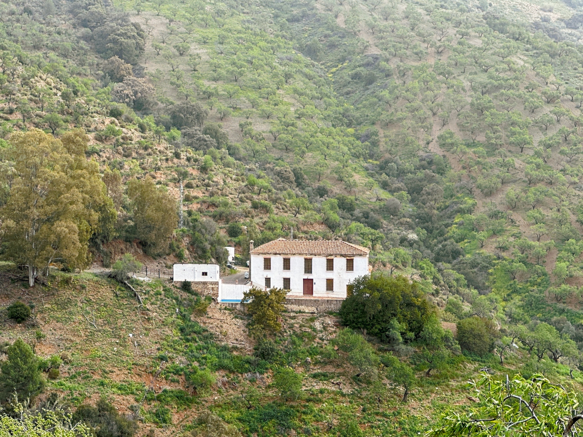 Malaga East