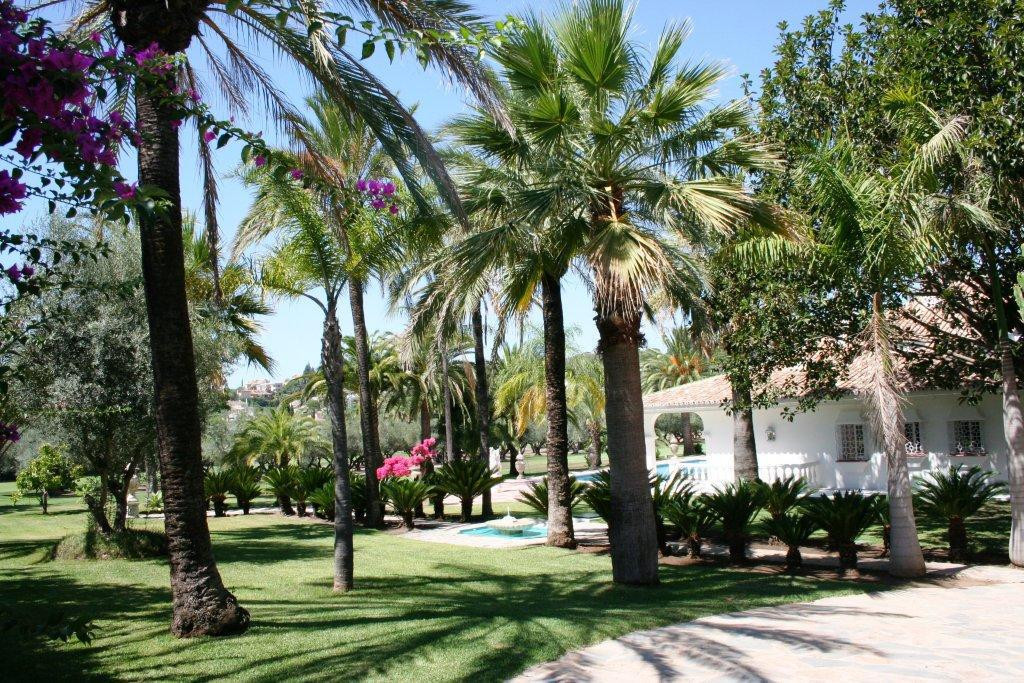 Nueva Andalucia, Marbella