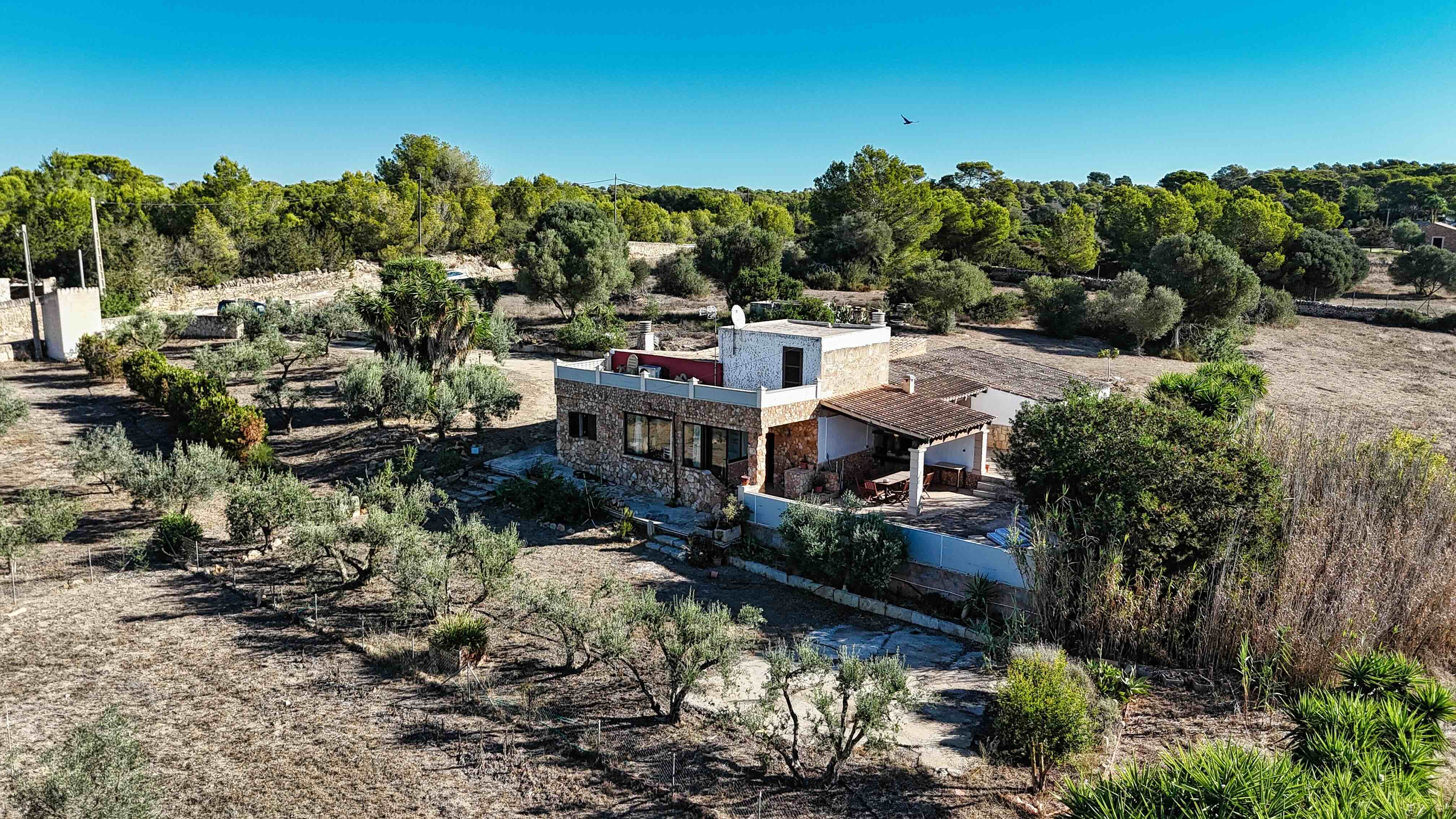 Colonia de Sant Jordi
