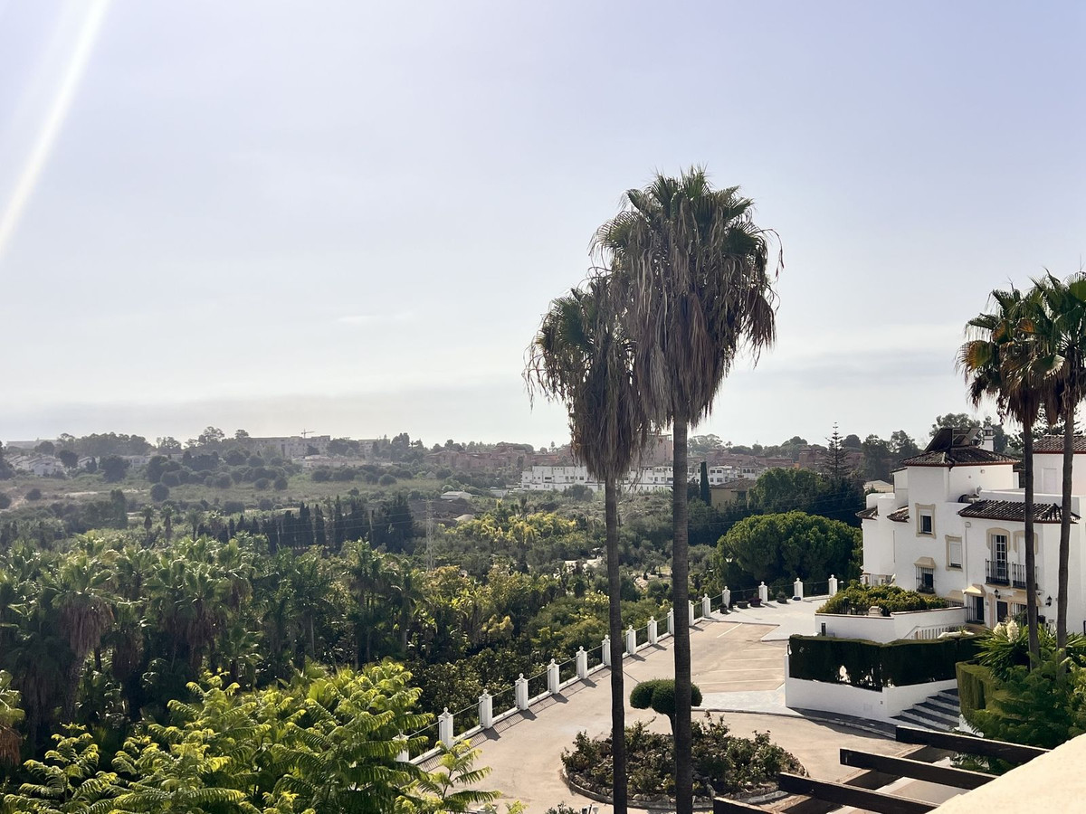 Bel-Air
